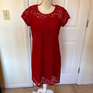 LOFT Outlet Wine Colored Lace Dress